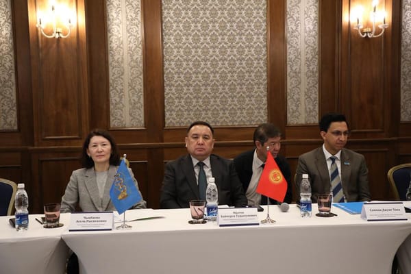 Балдарды кылмыш жоопкерчилигинен чыгаруу процесси жөнгө салынды