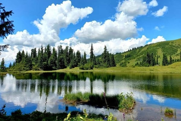 “Эң таза шаар”, “Эң таза айыл аймагы” сынагы жарыяланды