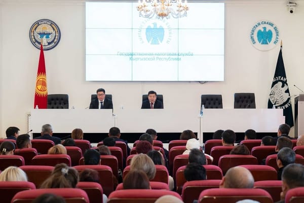 2026-жылы КРнын Салык кызматынын миң кызматкери ишинен кыскарат