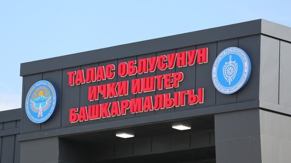 Таласта 41 баш топоз уурдоого шектелген 3 жаран кармалды