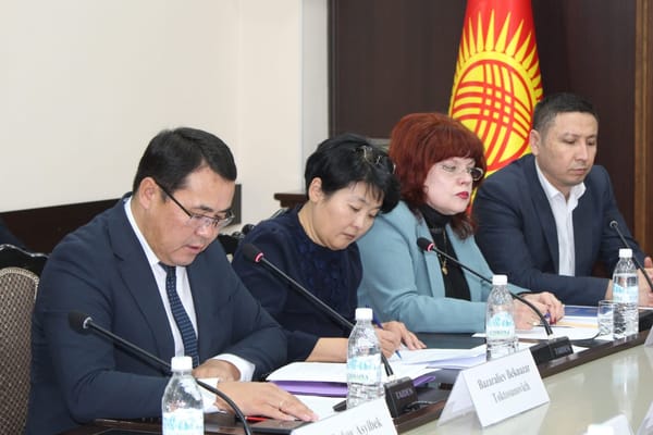 Кыргызстан менен Австрия транспортту санариптештирүүдө кызматташат