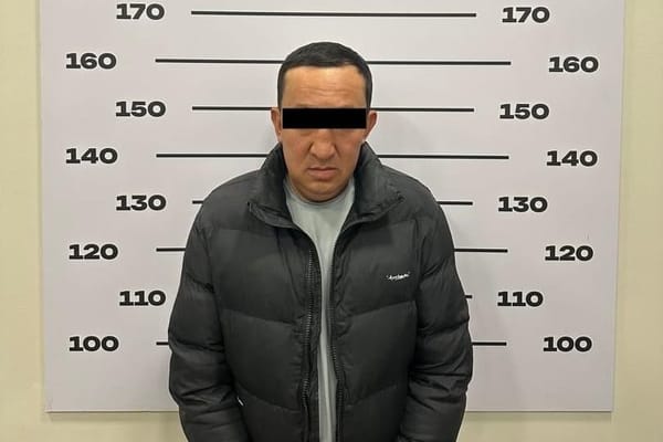 Чагымчылык видеону жарыялаган жаран кармалды