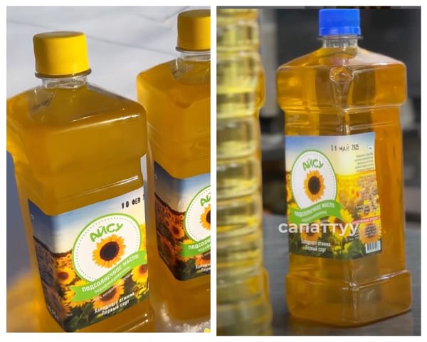 Таластагы "Айсу" цехи айына 100-150 тоннага чейин сафлор майын өндүрөт