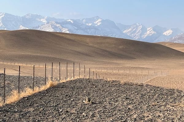 Чоң-Алайда "Ак пейил" кооперативи 19 га кунарсыз жерди өздөштүрүүдө