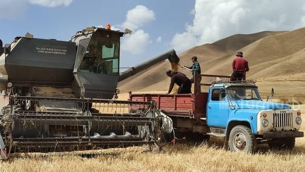 Айыл чарба тармагы боюнча цифралар сүйлөйт