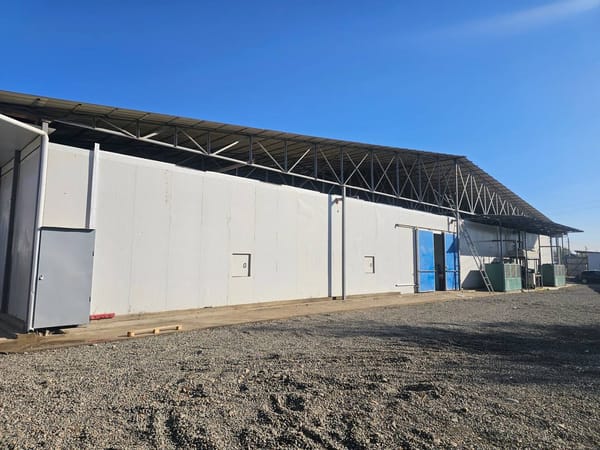 Ош шаарында 2 га жерге сүттү кайра иштетүүчү цех курулууда