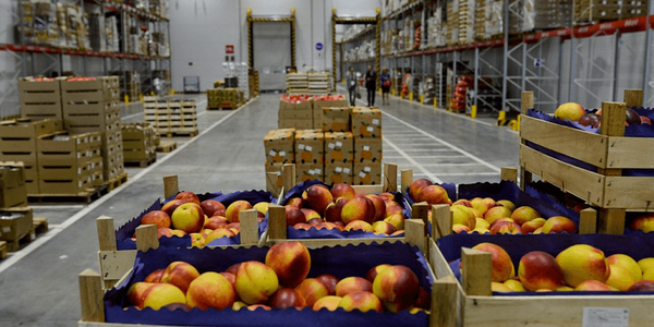 Жалал-Абадда 59 жаңы кайра иштетүү ишканасы жана 7 соода-логистикалык борбор ачылат