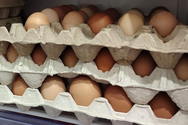 Казакстанга тоок жумурткасын алып кирүүгө убактылуу тыюу салынды