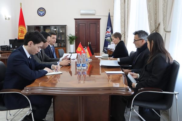 Экономика министри Германия элчиси менен экономикалык кызматташууну талкуулады