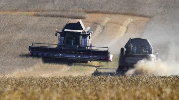 "Мээнет" чарбасы 120 гектар жерди ийгиликтүү иштетип жатат