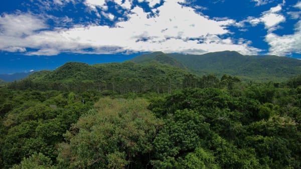 Жаратылыш ресурстары министрлиги 525 гектар аңчылык жерине конкурс жарыялады