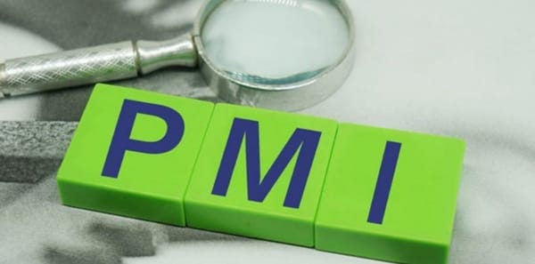Кыргызстанда PMI индекси экономиканын оң нукта өнүгүп жатканын көрсөттү