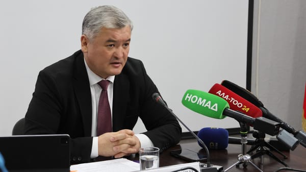 Чет өлкөлөрдө жашаган кыргызстандыктардын саны 798 миңден ашты