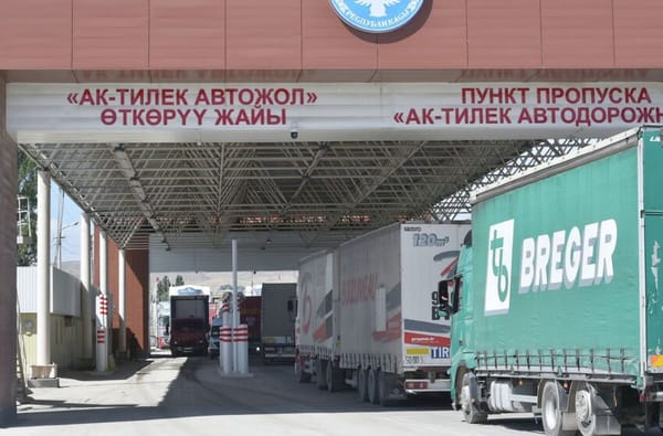 "Ак-Тилек" көзөмөл өткөрүү жайынан 22 тонна балык жеми артка кайтарылды