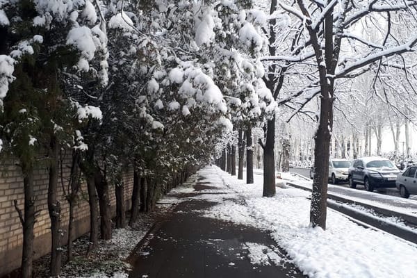 Жакынкы күндөрү Кыргызстанда кар жаашы күтүлүп жатат