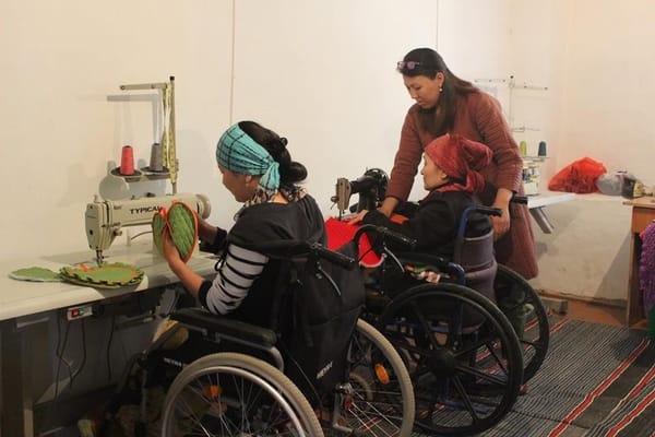 Кыргызстанда 5 жылда 1 584 майыптыгы бар адам ишке орношту