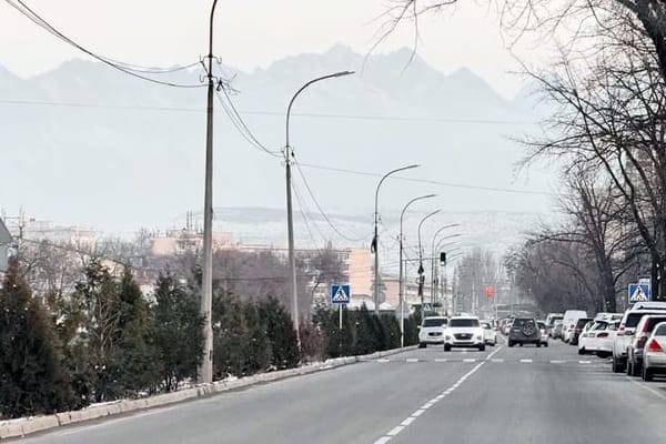 Логвиненко менен Малдыбаев көчөлөрүн туташтырылышы ыктымал