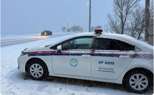 ИИМ жол тыгындарын жана жол кырсыктарын алдын алууну эскертет