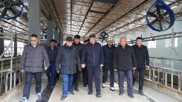 Б.Төрөбаев “Таштан” асыл тукум чарбасынын ишмердүүлүгү менен таанышты