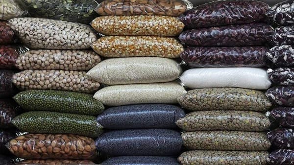 Таластын төө буурчагы Дубайга экспорттолот