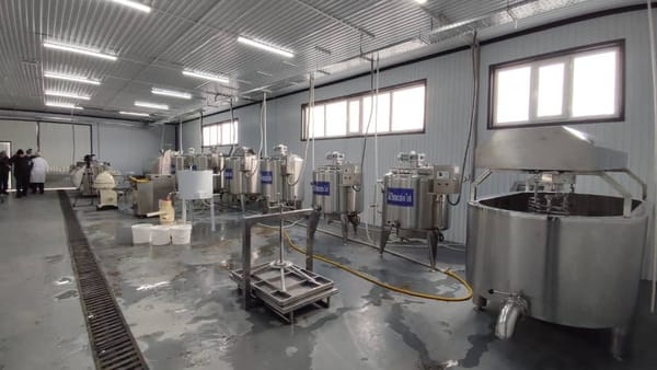 Ак-Талаа районунда сүттү кайра иштетүүчү ишкана ачылды