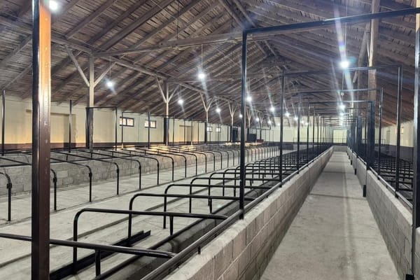 Быйыл 10 айда агробъектилерге салынган инвестицияларды өздөштүрүү 13,9%га өстү