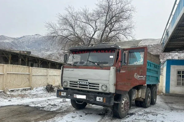 Нарын шаарында көмүрдү кымбат сатууну көздөгөндөр кармалды