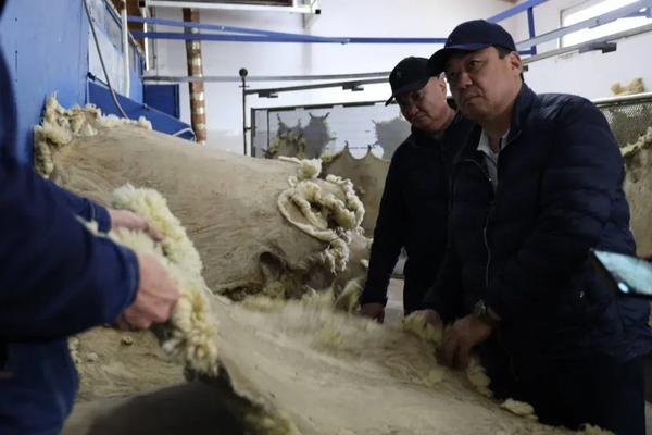 Ысык-Атада тери иштетүүчү ишкана курулат