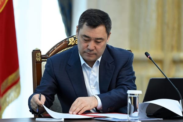 Презилент экономиканын айрым тармактарын колдоо боюнча чаралар жарлыгына кол койду