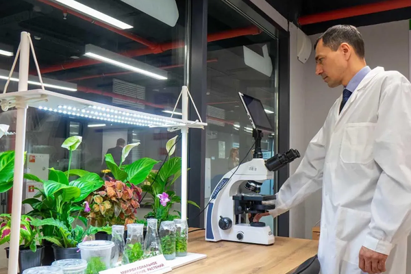 Балыкчыда өсүмдүктөр лабораториясын курууга 350 миң доллар бөлүнөт