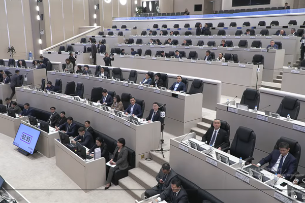 Депутат Дастан Бекешев визаран мыйзамдарына өзгөртүү киргизүүнү сунуштады