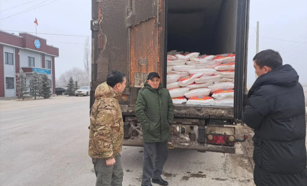 Импорт-экспорт жүктөрүнө фитосанитардык көзөмөл күчөтүлөт