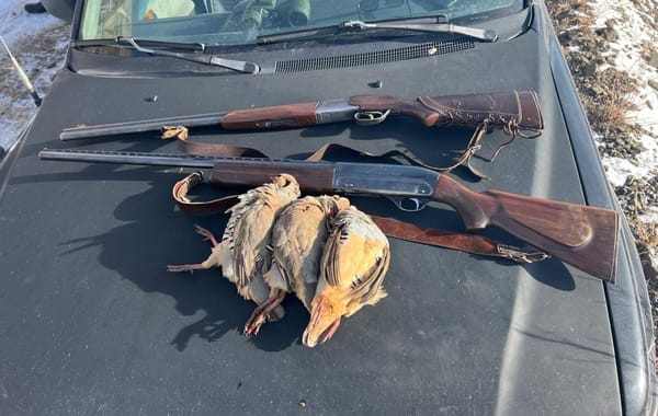 Кеминде мыйзамсыз мергенчилик үчүн 12 500 сом айып салынды