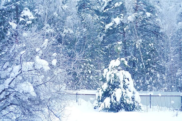 ӨКМ шашылыш билдирүү таратты