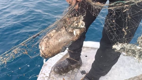 Ысык-Көлдөн 300 метр синтетикалык тор чыгарылды