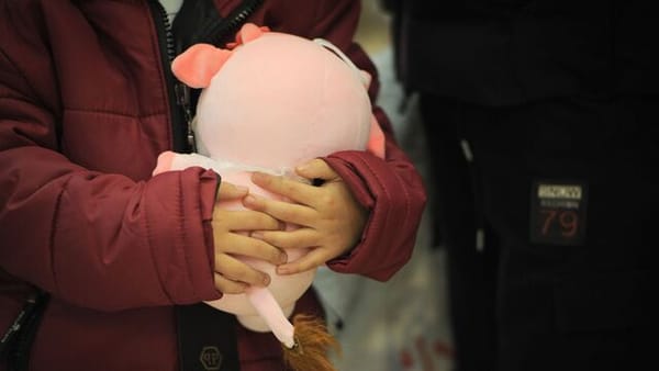 Акыйкатчы ата-энеси жок кызга 518 миң сом жөлөкпулун өндүрүп берди