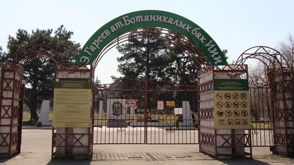 Э.Гареев атындагы ботаникалык бакка футбол аянтчалары курулат