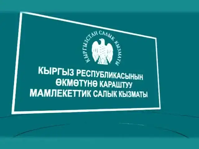 2026-жылы салыктык кирешелер 413–578 млрд сомдон жогору болушу мүмкүн