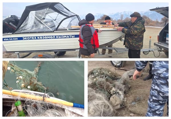 Ысык-Көлдөн 400 метрлик мыйзамсыз тор чыгарылды