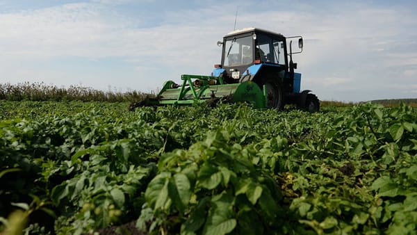 18–19–20–21-февраль күндөрү "АгроДиалог–2026" агроөнөр жай форуму өтөт