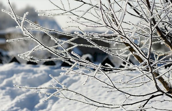 Январь айында айрым күндөрү аба ырайы айрым учурда +16 °C чейин ысып, кээде -27 °C чейин муздайт.