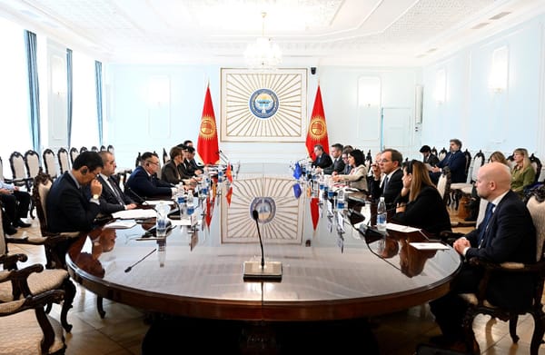 Кыргызстан Европа парламенти менен визалык жеңилдетүүнү талкуулады