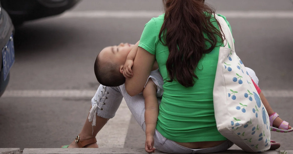 Ноокатта 585 миң сом алимент өндүрүлдү