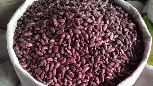 Таласта төө буурчактан башка өсүмдүктөрдү да айдоо сунушталды