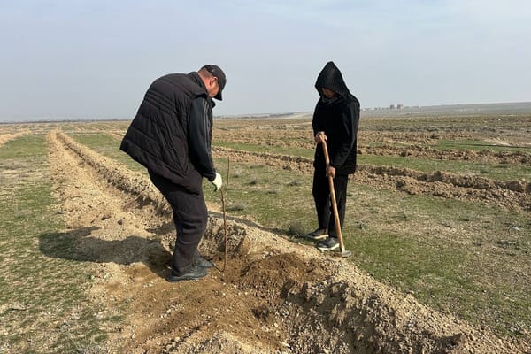 Былтыр Лейлектин Кең-Талаа айылындагы 100 гектар жерге тамчылатып сугаруу системасы орнотулду