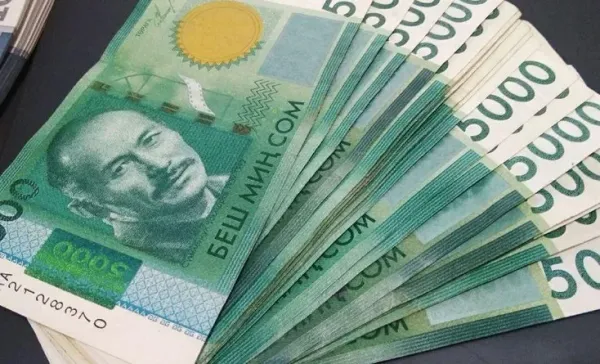 Фермерлер 15-февралдан тарта жеңилдетилген насыяга онлайн кезекке тура алышат