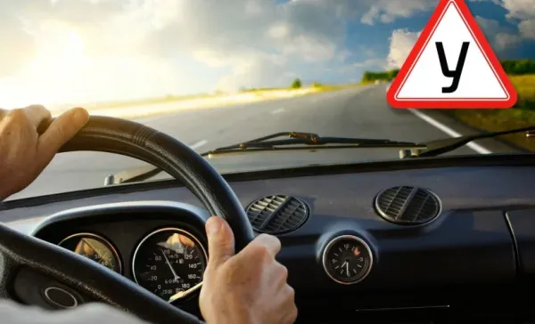 Мамлекеттик автомектептерде окуучулар бекер окутулат