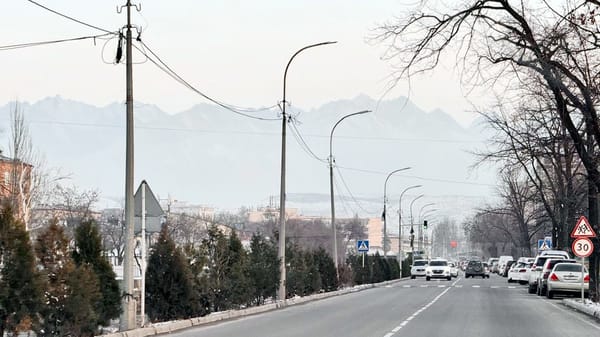 Бишкекте 7 миң ар кандай мамылар демонтаждалат