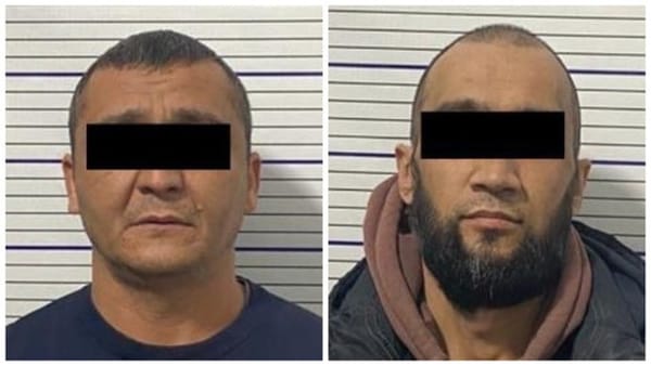 Сузак районунда жер тилкелерин мыйзамсыз сатуу аныкталды