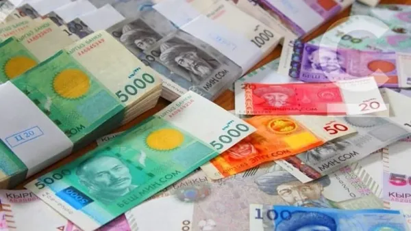 Соцфонд МТПФ каражаттарынын эсебинен баалуу кагаздарга инвестиция салды